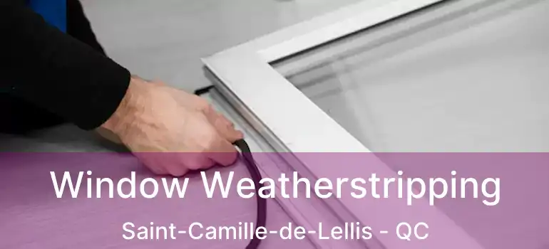  Window Weatherstripping Saint-Camille-de-Lellis - QC