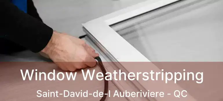  Window Weatherstripping Saint-David-de-l Auberiviere - QC
