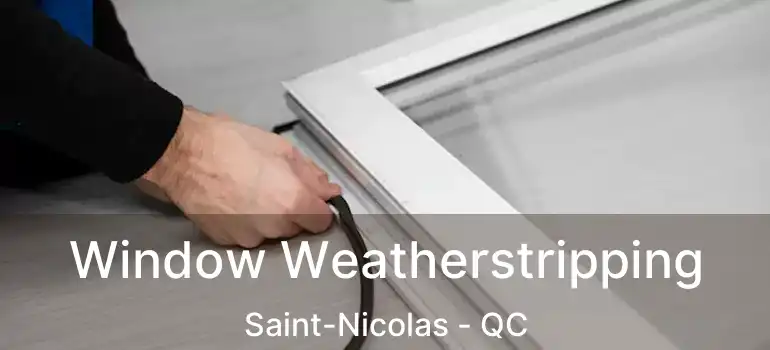  Window Weatherstripping Saint-Nicolas - QC