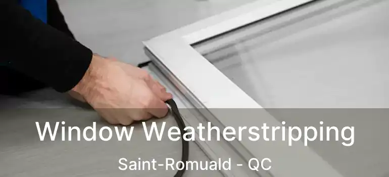  Window Weatherstripping Saint-Romuald - QC