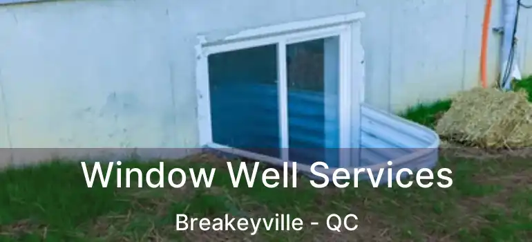  Window Well Services Breakeyville - QC