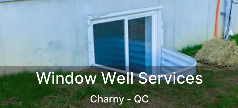  Window Well Services Charny - QC