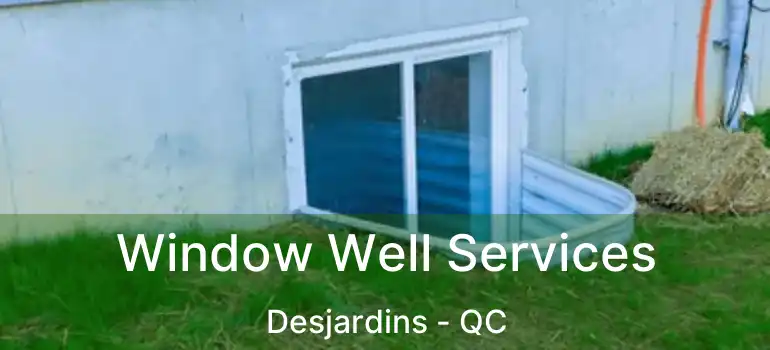  Window Well Services Desjardins - QC