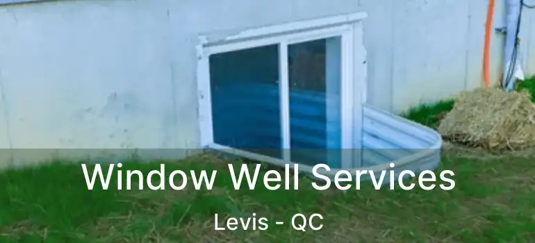  Window Well Services Levis - QC