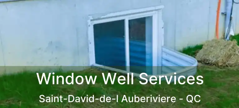  Window Well Services Saint-David-de-l Auberiviere - QC