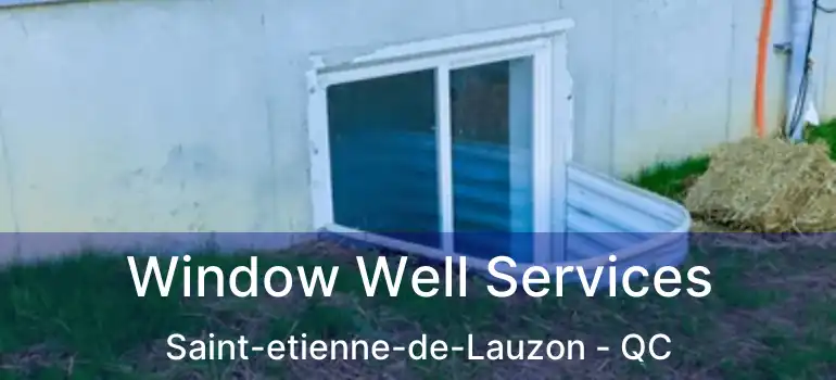  Window Well Services Saint-etienne-de-Lauzon - QC
