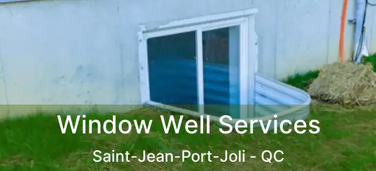  Window Well Services Saint-Jean-Port-Joli - QC
