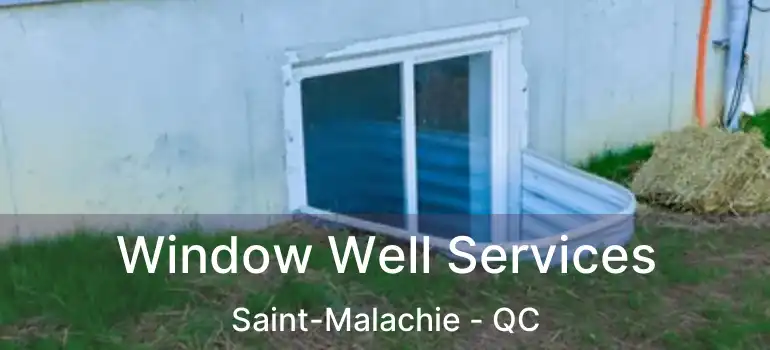 Window Well Services Saint-Malachie - QC