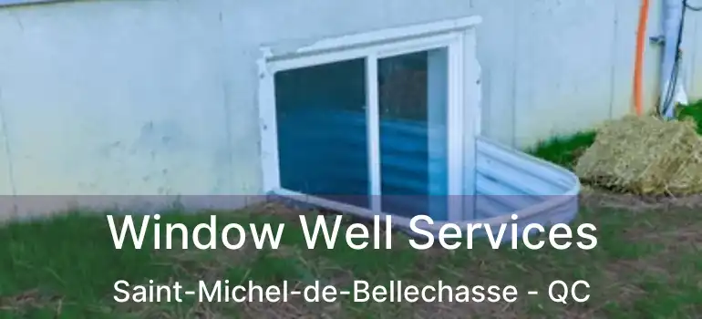 Window Well Services Saint-Michel-de-Bellechasse - QC