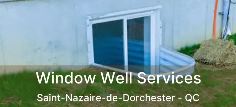  Window Well Services Saint-Nazaire-de-Dorchester - QC