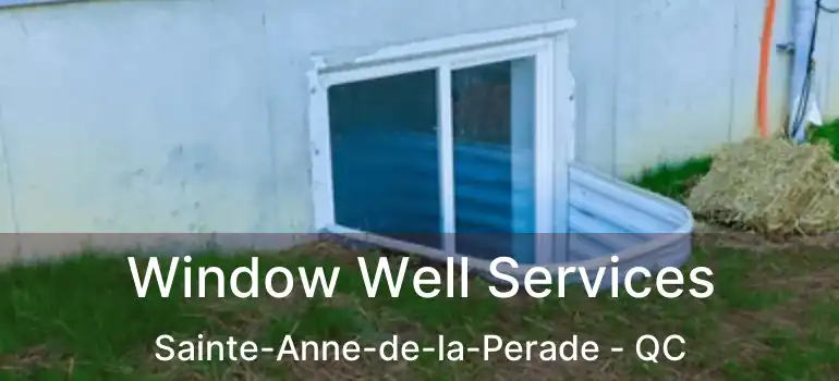  Window Well Services Sainte-Anne-de-la-Perade - QC