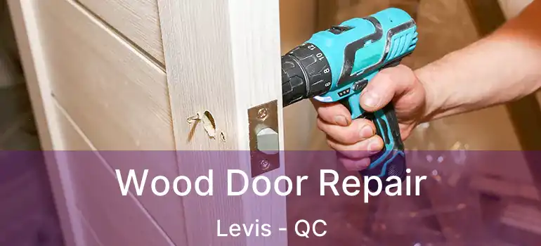  Wood Door Repair Levis - QC