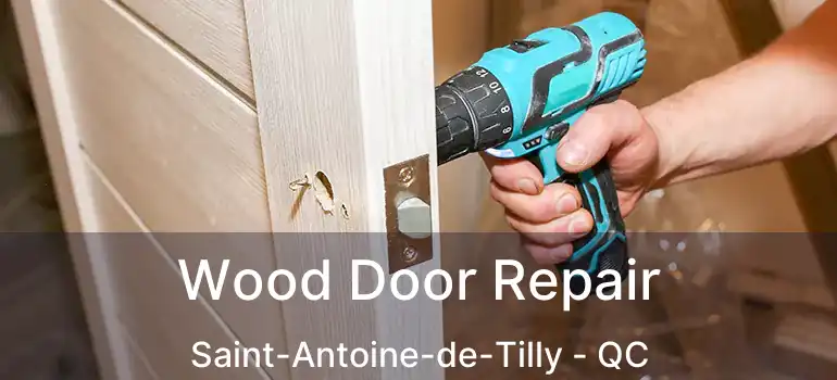  Wood Door Repair Saint-Antoine-de-Tilly - QC