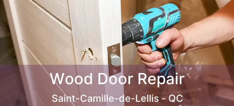  Wood Door Repair Saint-Camille-de-Lellis - QC