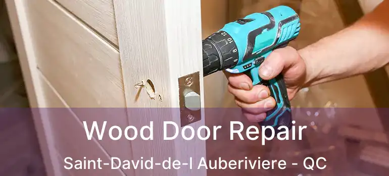  Wood Door Repair Saint-David-de-l Auberiviere - QC