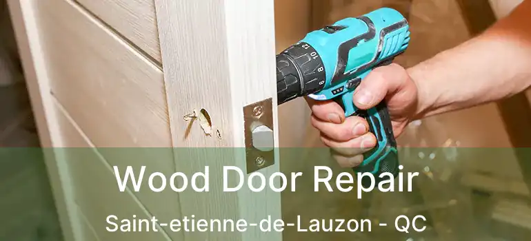  Wood Door Repair Saint-etienne-de-Lauzon - QC