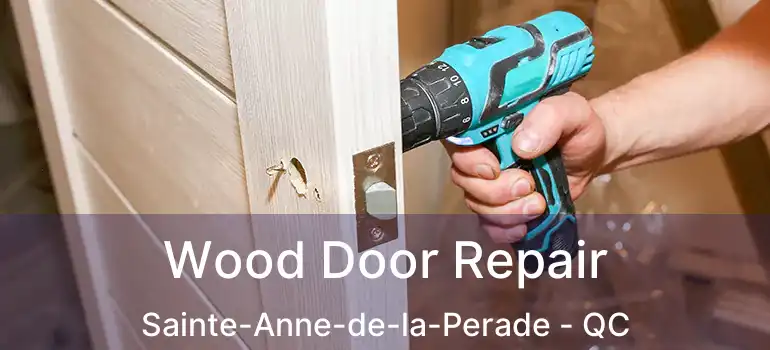  Wood Door Repair Sainte-Anne-de-la-Perade - QC