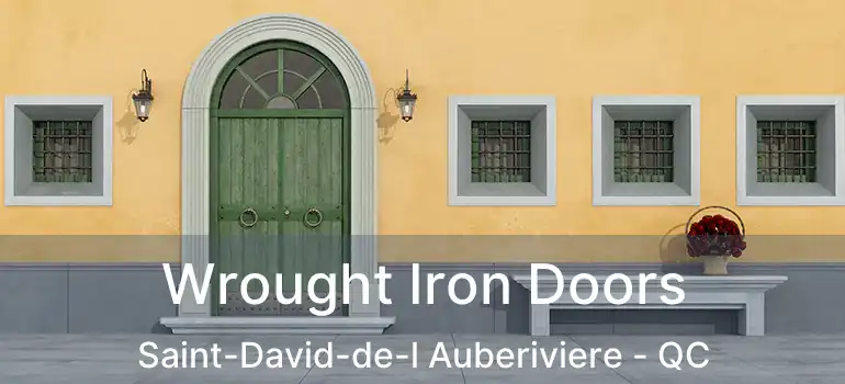  Wrought Iron Doors Saint-David-de-l Auberiviere - QC